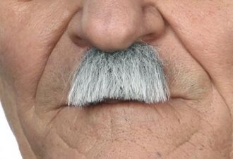 Knír úzký - šedý