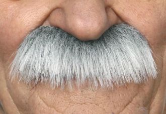 Knír dlouhý - šedý