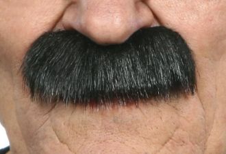Knír dlouhý - černošedý