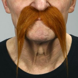 Knír obrovský - rezavý