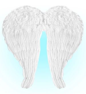 Křídla péřová dětská - 51x46 cm