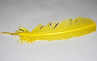 Barevná péra - 30 cm Barva: žlutá