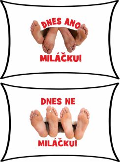 Polštářek pro zamilované - 55x35 cm Barva: Bílá