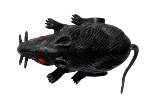 Pavouk nebo myš - jezdící druh: myš