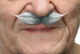 Knír do špičky malý - šedý