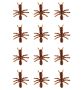 Rezaví mravenci - 12ks