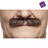 Knír dvojitý - hnědý