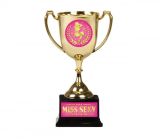 Pohár pro vítěze Miss Sexy