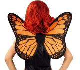 Křídla Motýlek, 57x50 cm