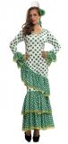 b Kostým Tanečnice flamenga zelená
