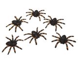 Sada pavouků 6 kusů