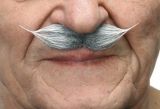 b Knír do špičky malý - šedý