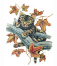 b Dětské tričko Kočka na větvi