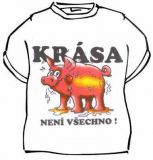 Tričko - Krása není všechno