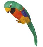CB Papoušek Barva: Zelená