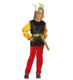 Dětský kostým - Asterix Velikost: 11/13 let - 158 cm