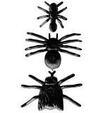 Hmyz - sada mravenců, pavouků a much