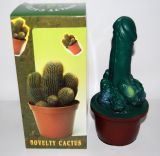 CB Kaktus sexy