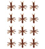 Rezavý mravenci - 12ks