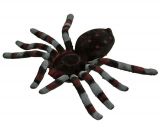 Pavouk - 20 cm Barva: černo-hnědý