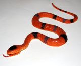Had - 60 cm Barva: hnědá