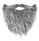 Šedé vousy s knírem Šedé vousy s knírem