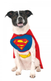 Kostým pro pejska - Superman