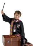 Sada - Kufr Harryho Pottera