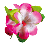 Květina na sponce - deluxe Barva: růžová