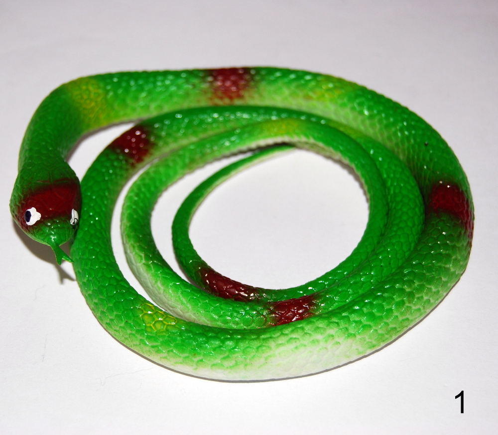 kliknutít zobrazíte maximální velikost obrázku