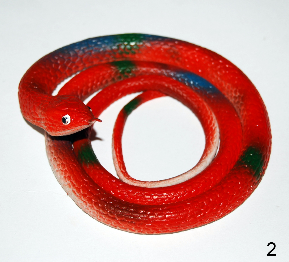 kliknutít zobrazíte maximální velikost obrázku