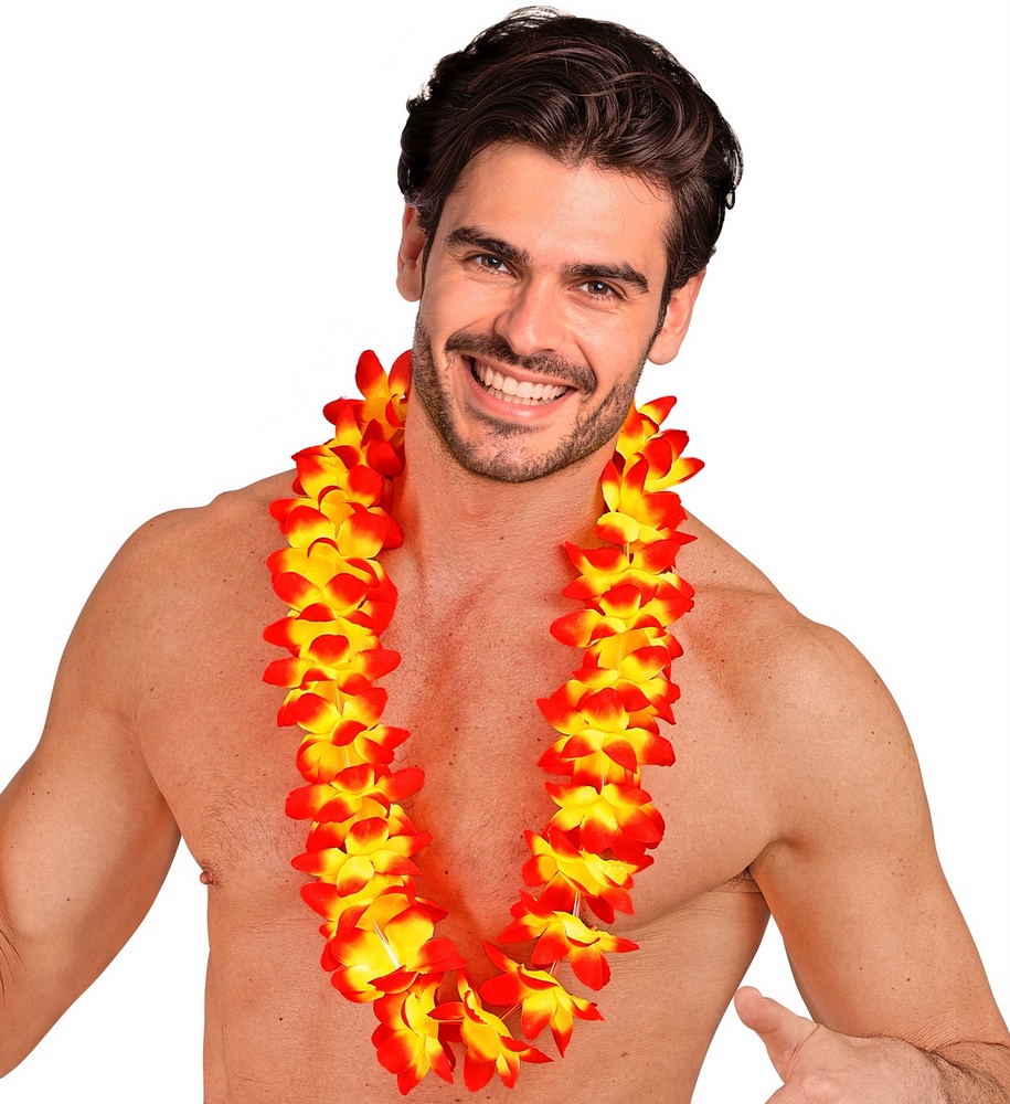 kliknutít zobrazíte maximální velikost obrázku