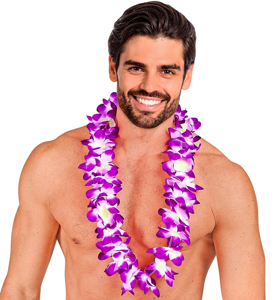 kliknutít zobrazíte maximální velikost obrázku