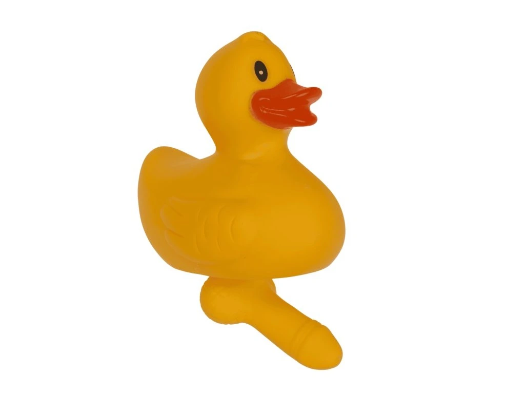 kliknutít zobrazíte maximální velikost obrázku